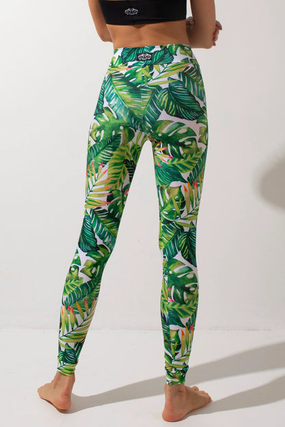 Basic Leggings - Green Fern